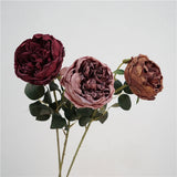 Faux Toasted Edge David Austin Rose – 24"