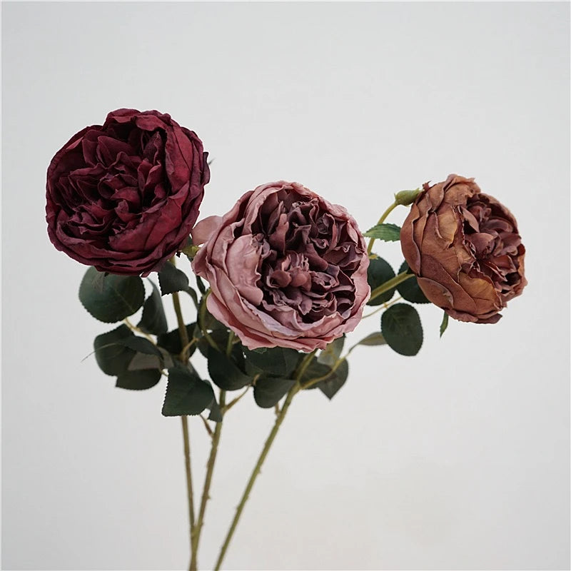 Faux Toasted Edge David Austin Rose – 24"