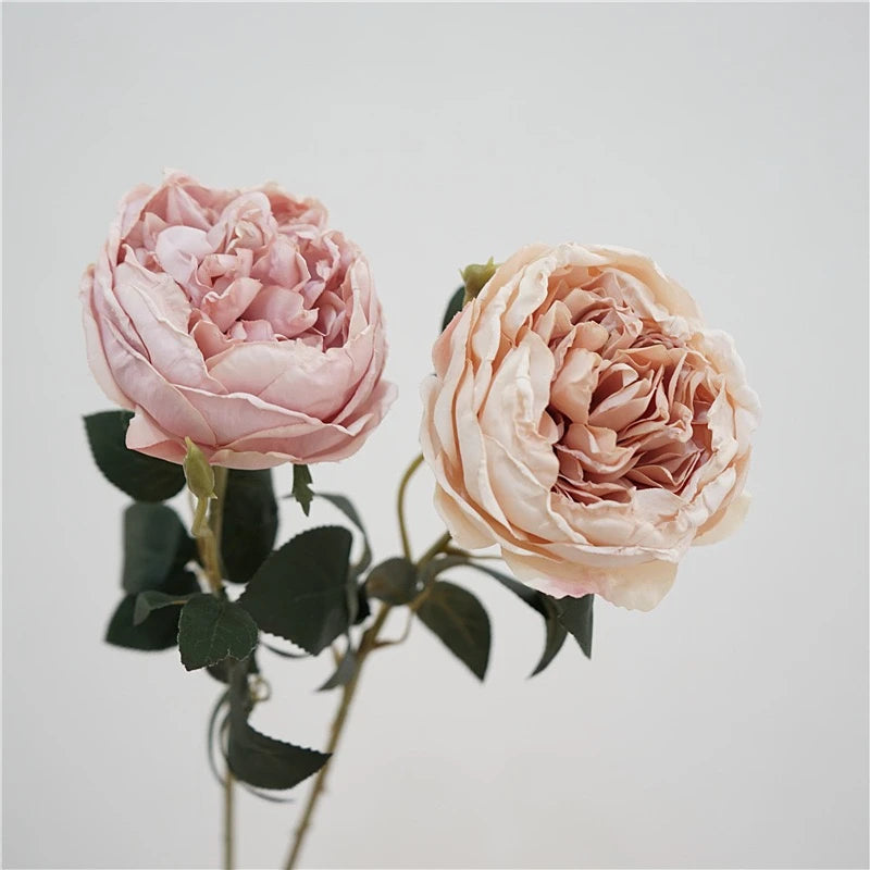 Faux Toasted Edge David Austin Rose – 24"