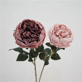 Faux Toasted Edge David Austin Rose – 24"