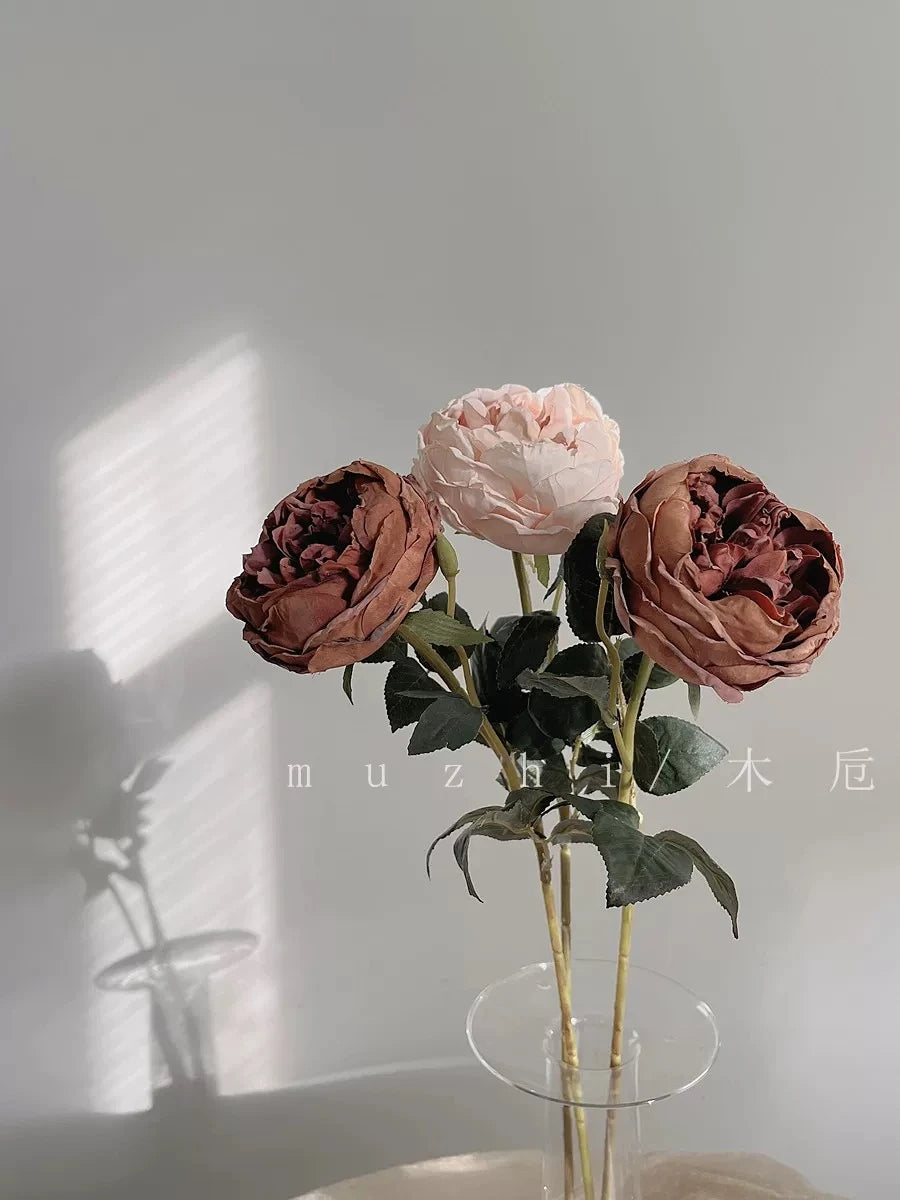 Faux Toasted Edge David Austin Rose – 24"