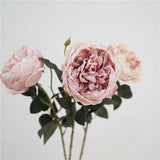 Faux Toasted Edge David Austin Rose – 24"