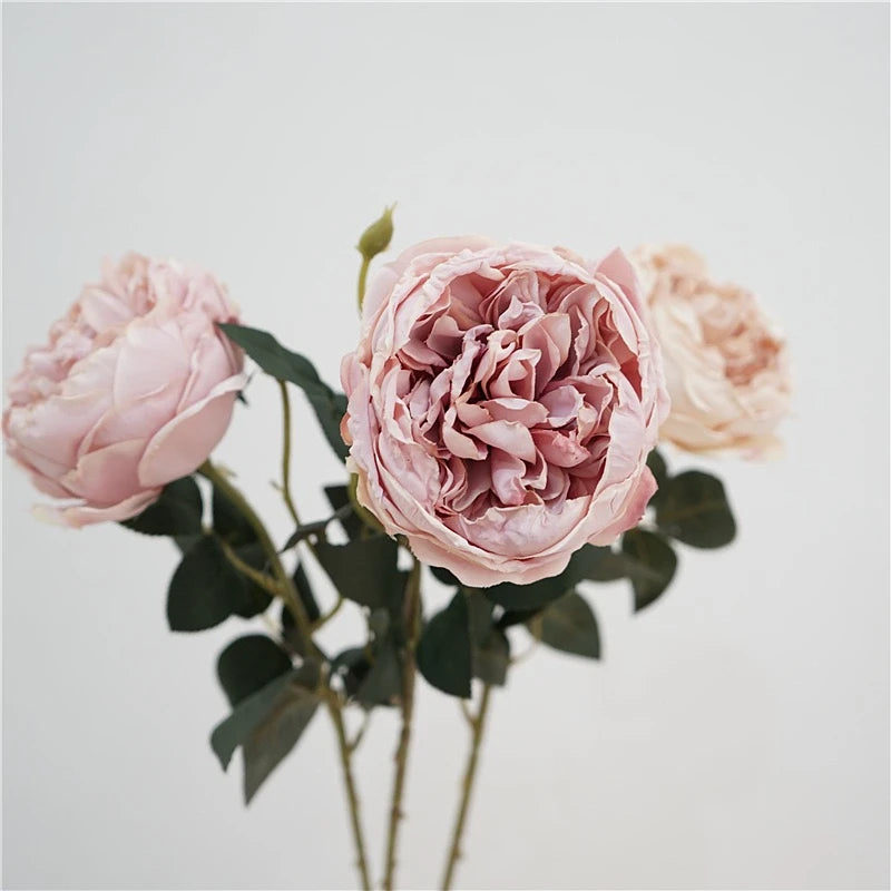 Faux Toasted Edge David Austin Rose – 24"