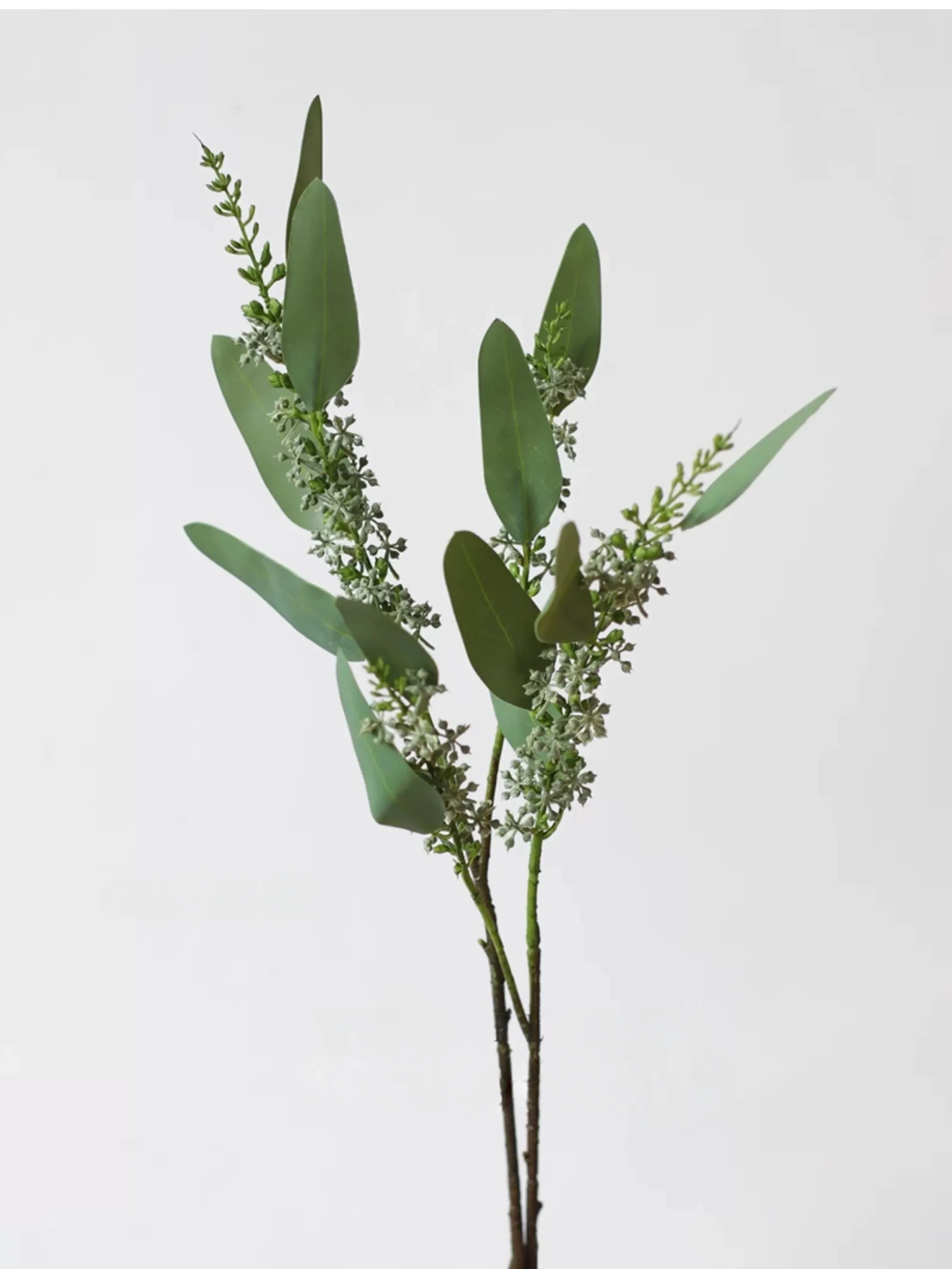 Faux Eucalyptus Stem with Berries –24"