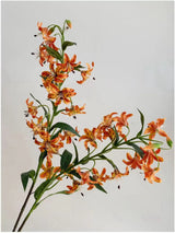 フェイクタイガーリリーの花