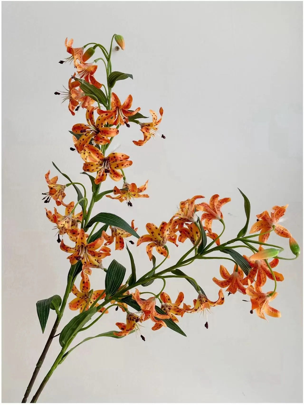 フェイクタイガーリリーの花