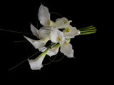Alabaster Muse -Faux Floral Bridal Bouquet