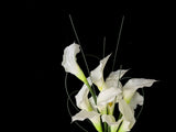 Alabaster Muse -Faux Floral Bridal Bouquet