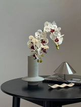 手彫りの花瓶に入ったカラフルなバタフライオーキッド – 花瓶の中の人工的なフラワーアレンジメント