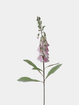 Faux Foxglove Flower Stem – 30"/75cm