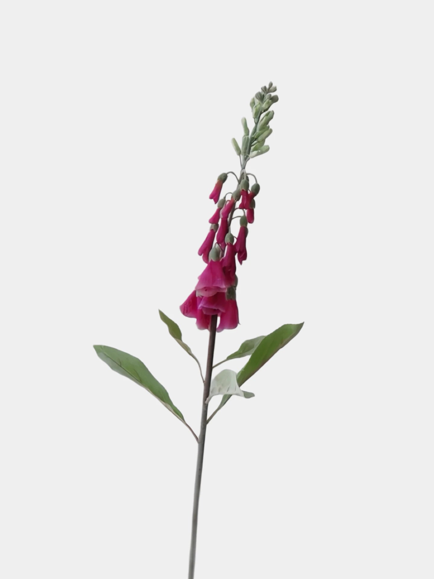 Faux Foxglove Flower Stem – 30"/75cm