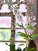 Faux Foxglove Flower Stem – 30"/75cm