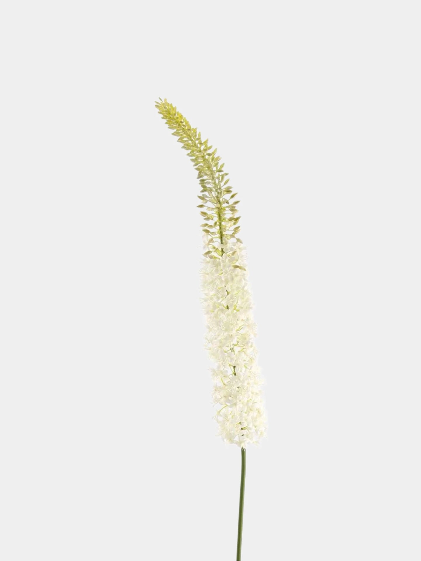 Faux Foxtail Lily Stem– 41"