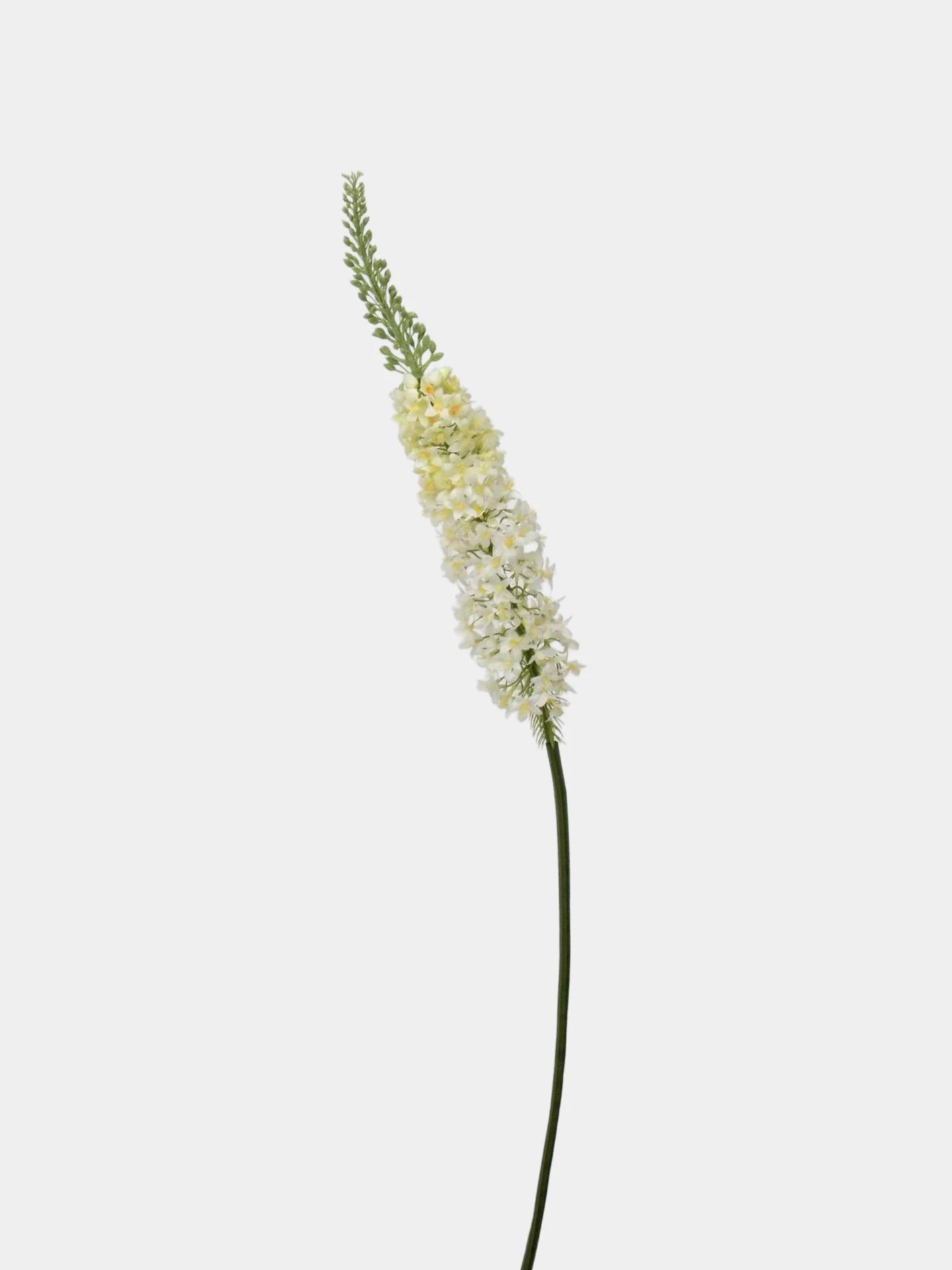 Faux Foxtail Lily Stem – 58"/ 147cm