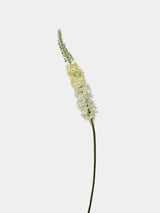 Faux Foxtail Lily Stem – 58"/ 147cm