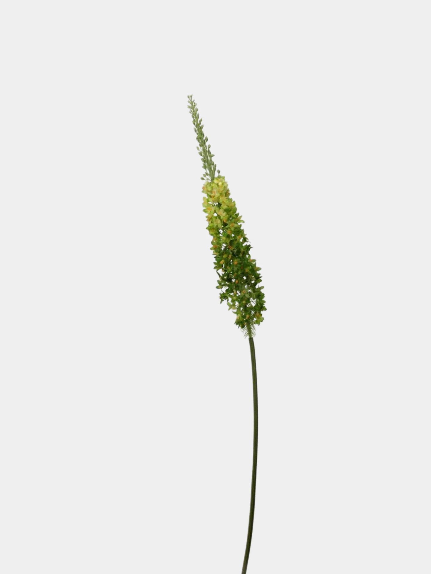 Faux Foxtail Lily Stem – 58"/ 147cm
