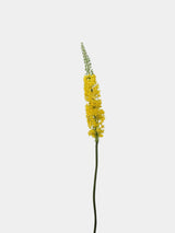 Faux Foxtail Lily Stem – 58"/ 147cm