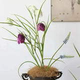 フェイクフリチラリアステム