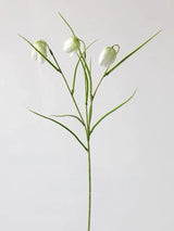 フェイクフリチラリアステム