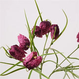 フェイクフリチラリアステム