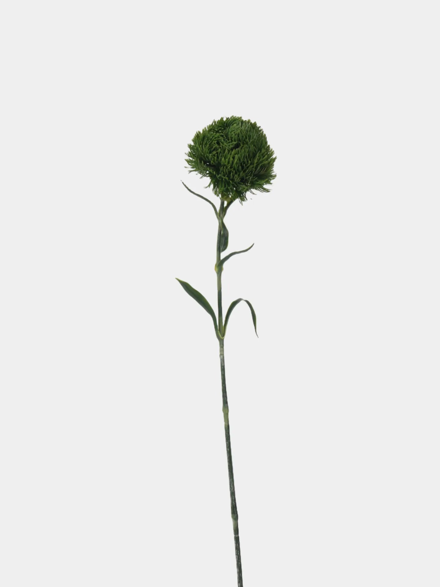 Faux Dianthus Barbatus Stem – 55 cm Realistic Artificial Greenery