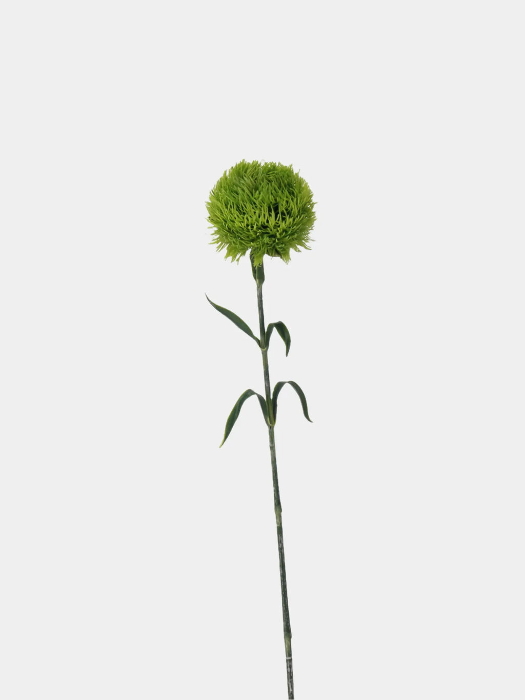 Faux Dianthus Barbatus Stem – 55 cm Realistic Artificial Greenery