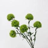 フェイク ダイアンタス バルバタス ステム – 55 cm リアリスティック アーティフィシャル グリーンery