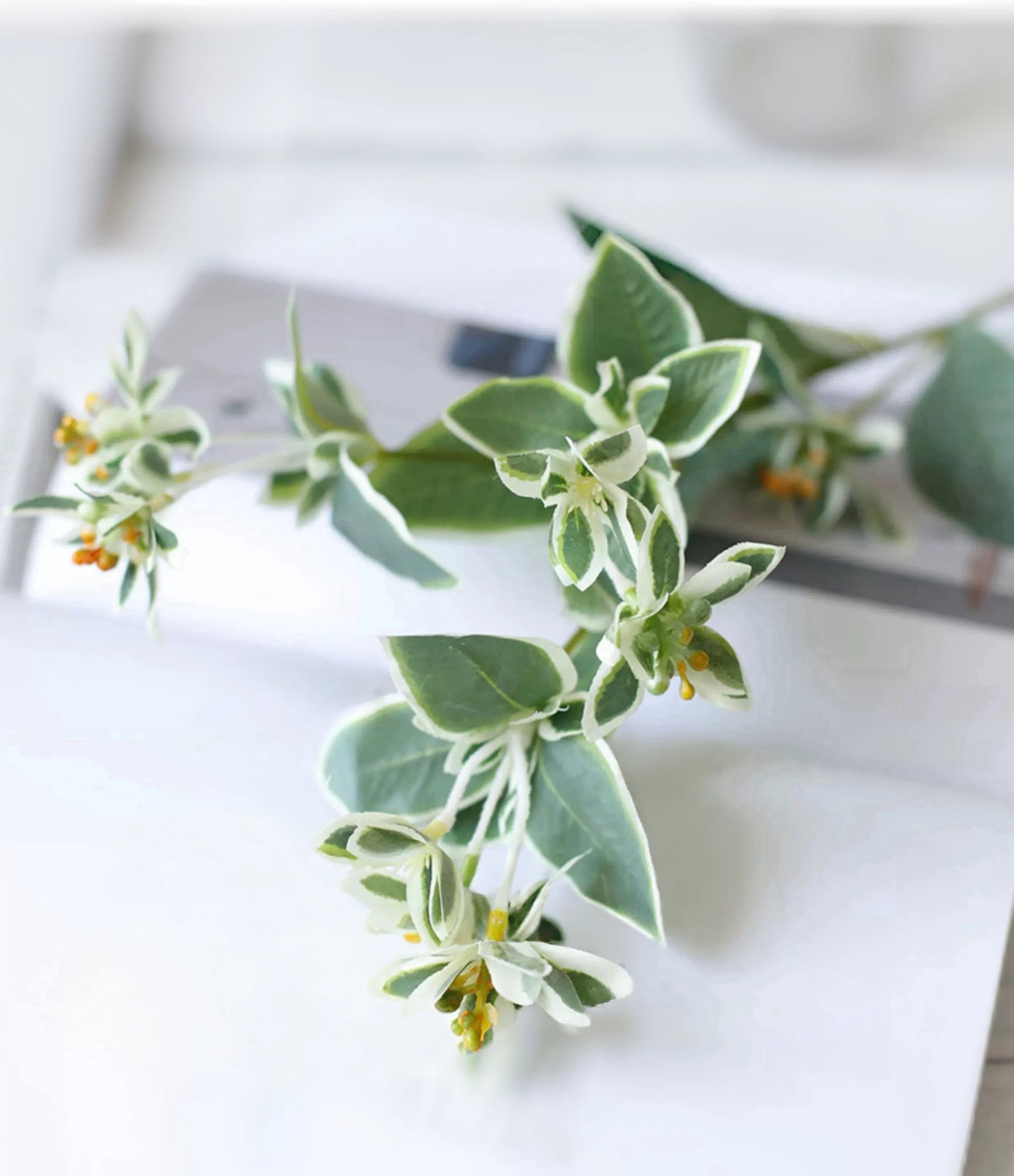 Faux Grennery Euphorbia Marginata Stem– 25.6"