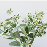 Faux Grennery Euphorbia Marginata Stem– 25.6"