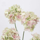 Faux Hydrangea Stem – 23"