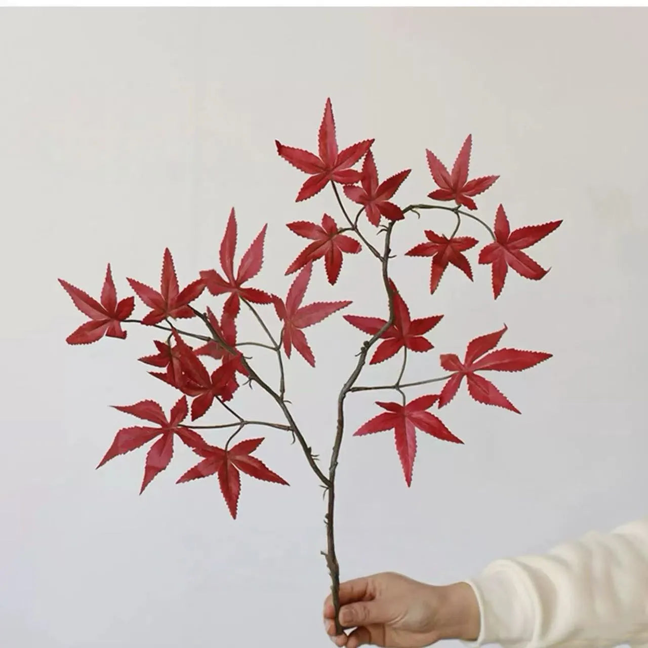 フェイク日本のカエデの枝
