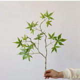 フェイク日本のカエデの枝