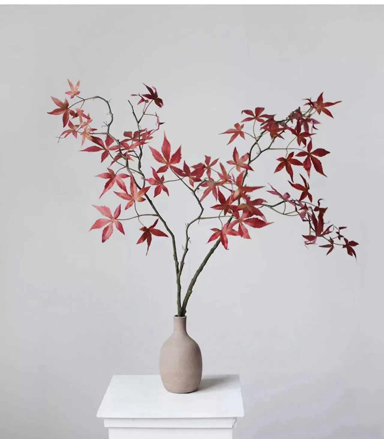 フェイク日本のカエデの枝