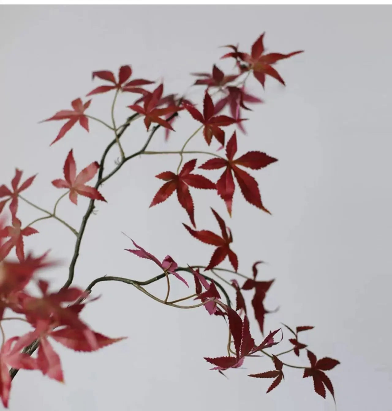 フェイク日本のカエデの枝