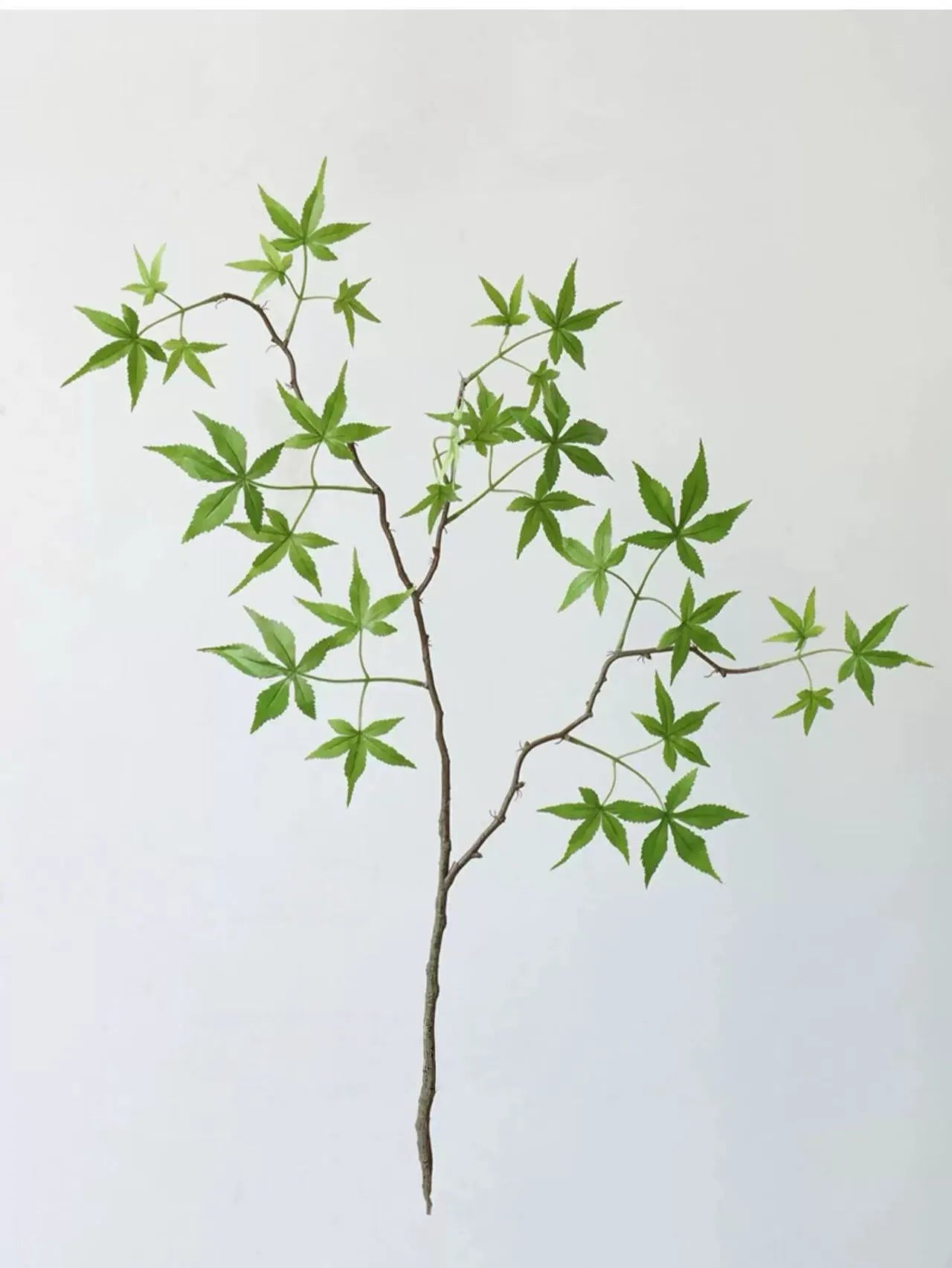 フェイク日本のカエデの枝