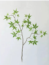 フェイク日本のカエデの枝