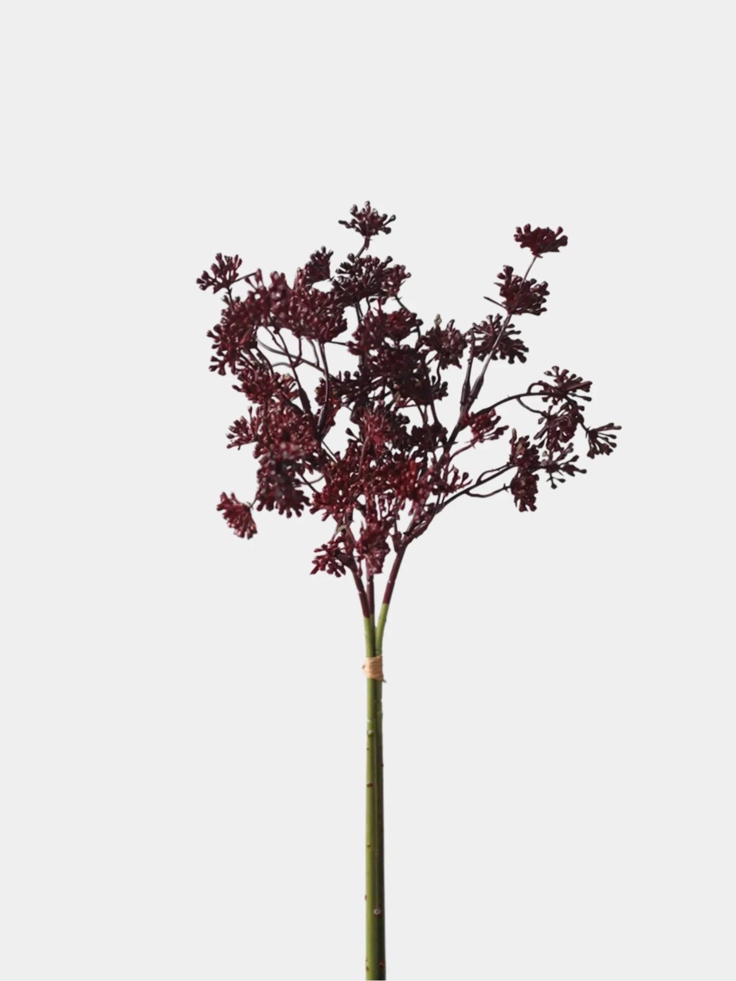 Künstlicher Kalopanax-Stamm – 35,5 cm