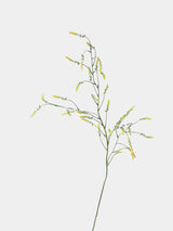 Falscher Knöterichspray – 119 cm