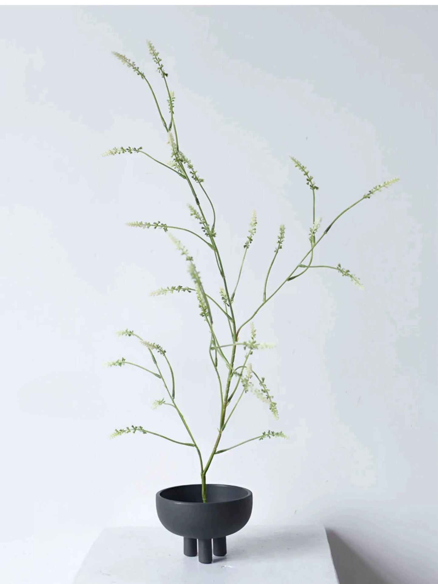Falscher Knöterichspray – 119 cm