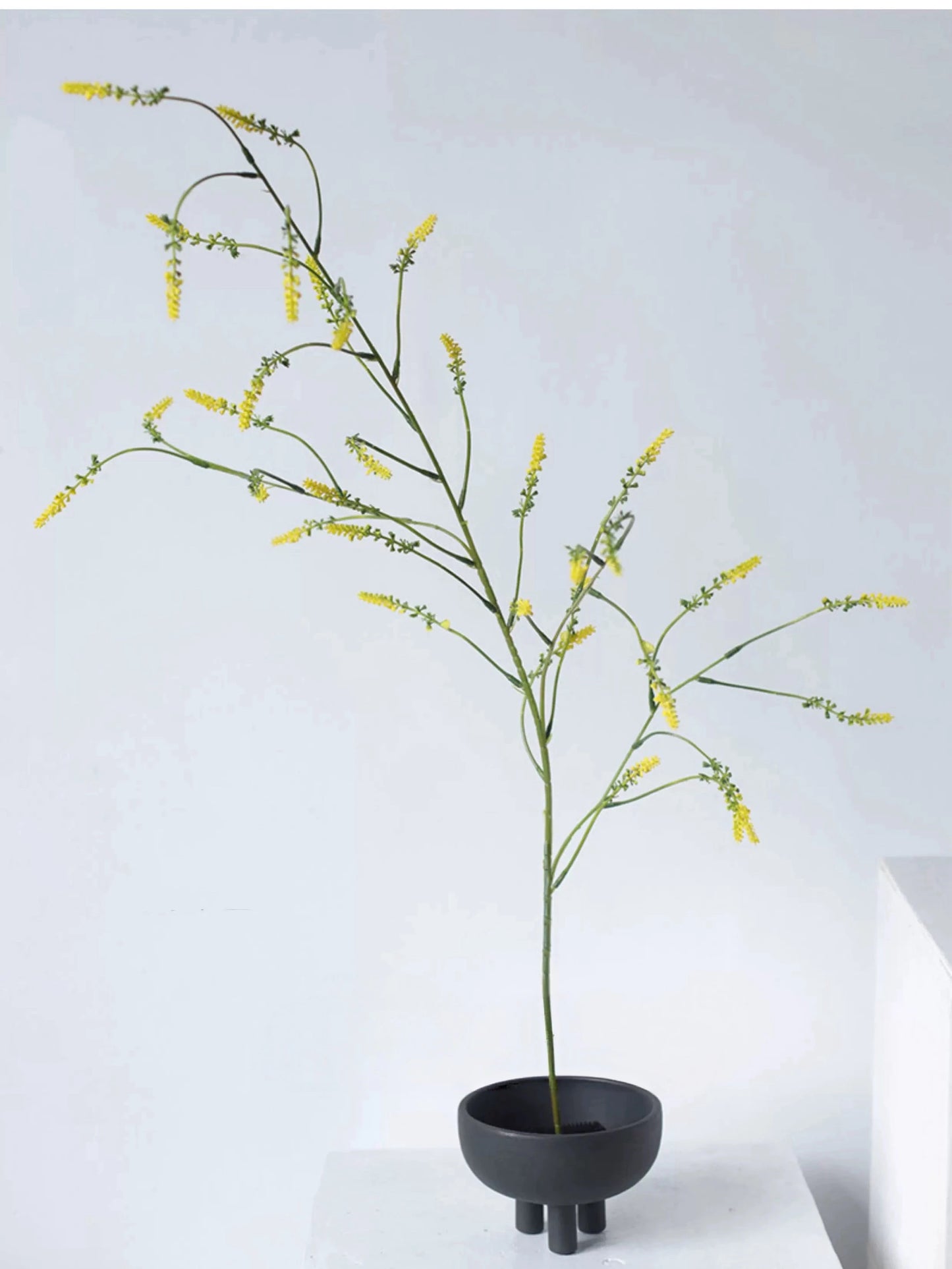Falscher Knöterichspray – 119 cm