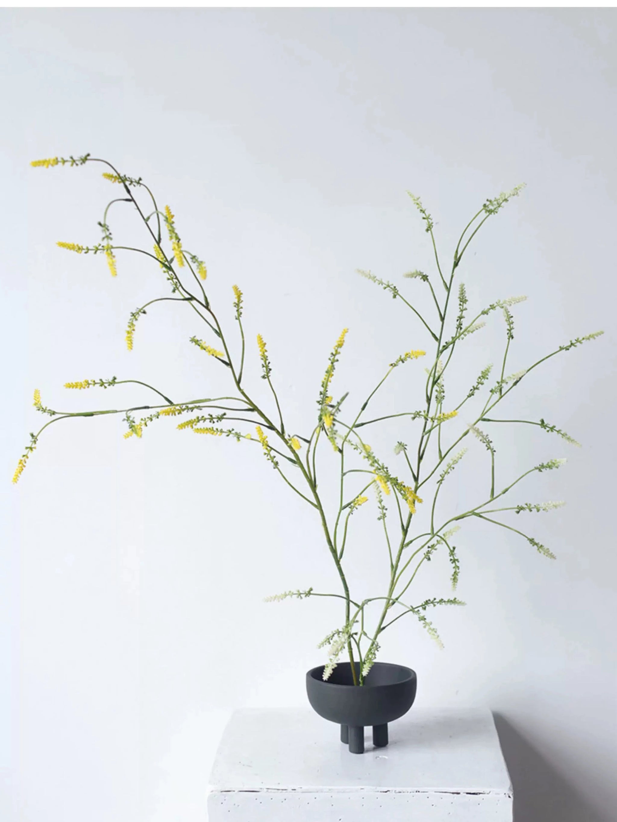 Falscher Knöterichspray – 119 cm
