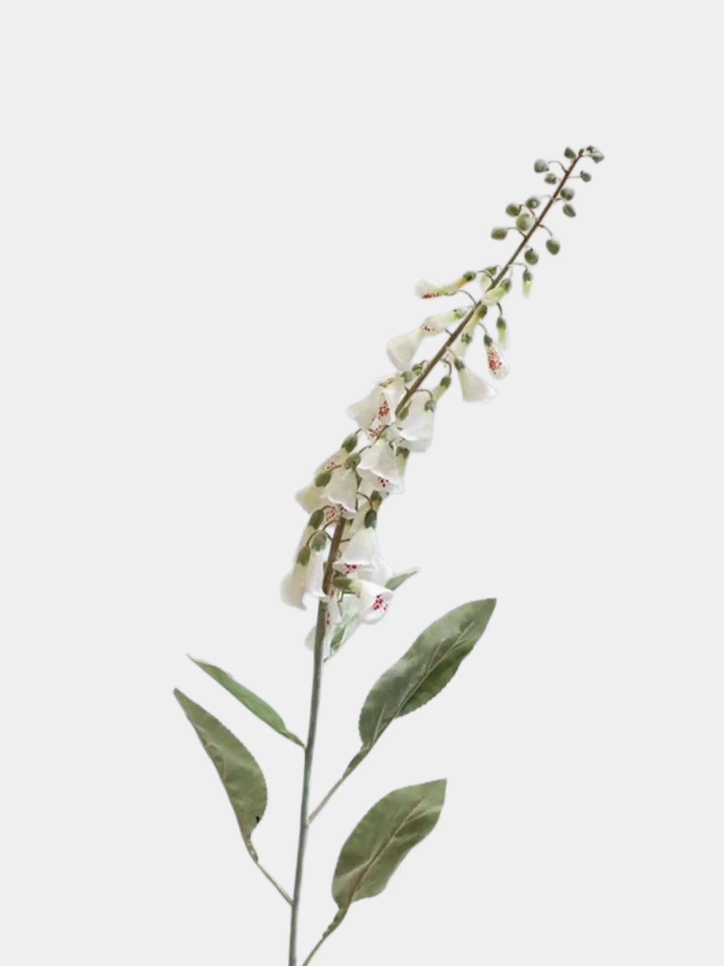 Faux Large Foxglove Flower Stem – 47"/120cm