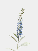Faux Large Foxglove Flower Stem – 47"/120cm