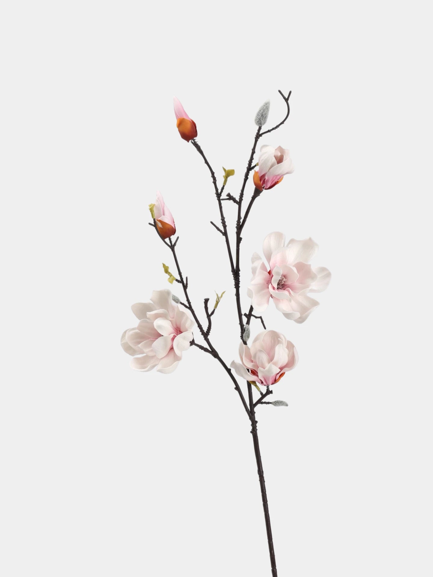 Faux Large Magnolia Branch – 39"