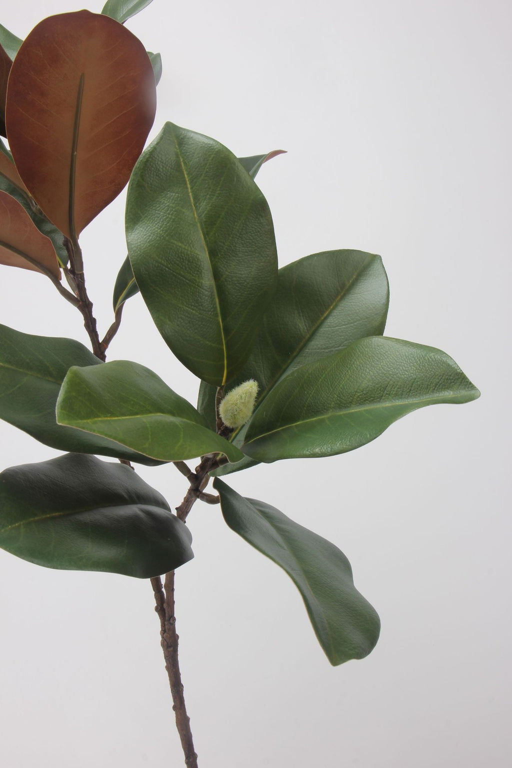 フェイクマグノリアの葉の茎 - 73cm
