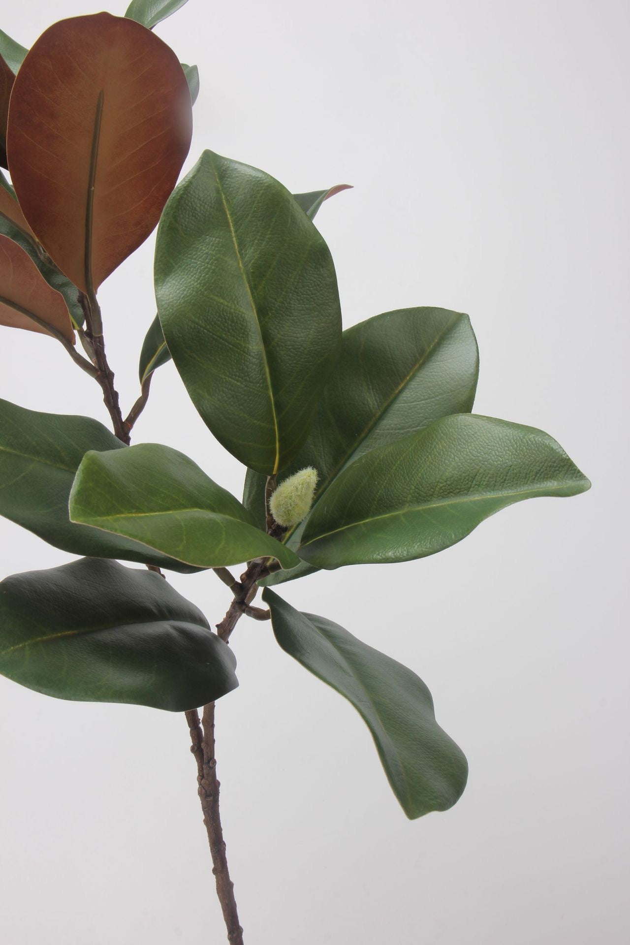 フェイクマグノリアの葉の茎 - 73cm