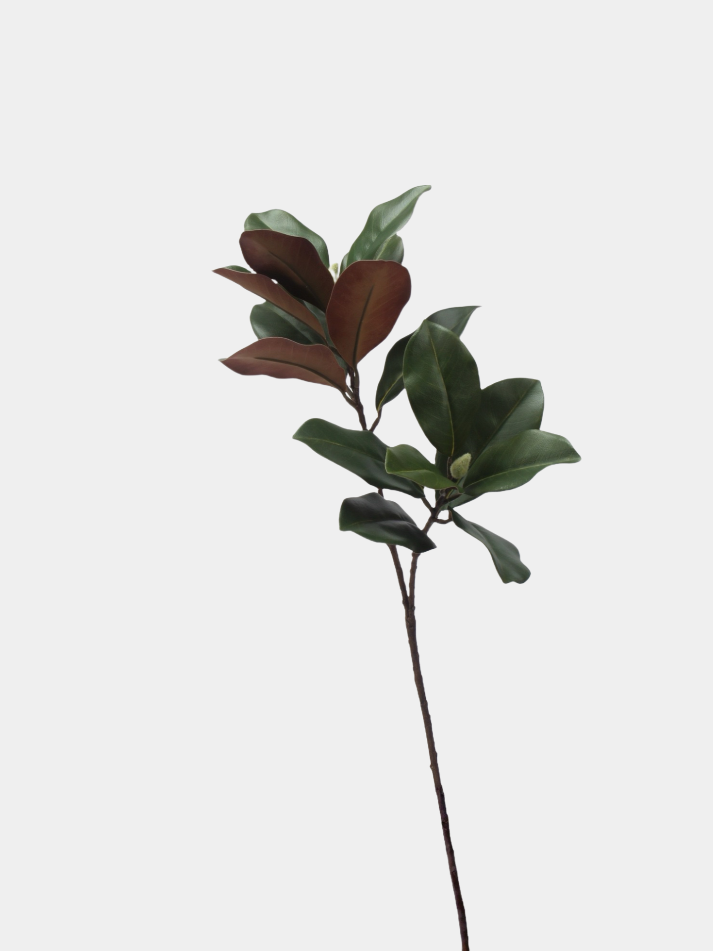フェイクマグノリアの葉の茎 - 73cm