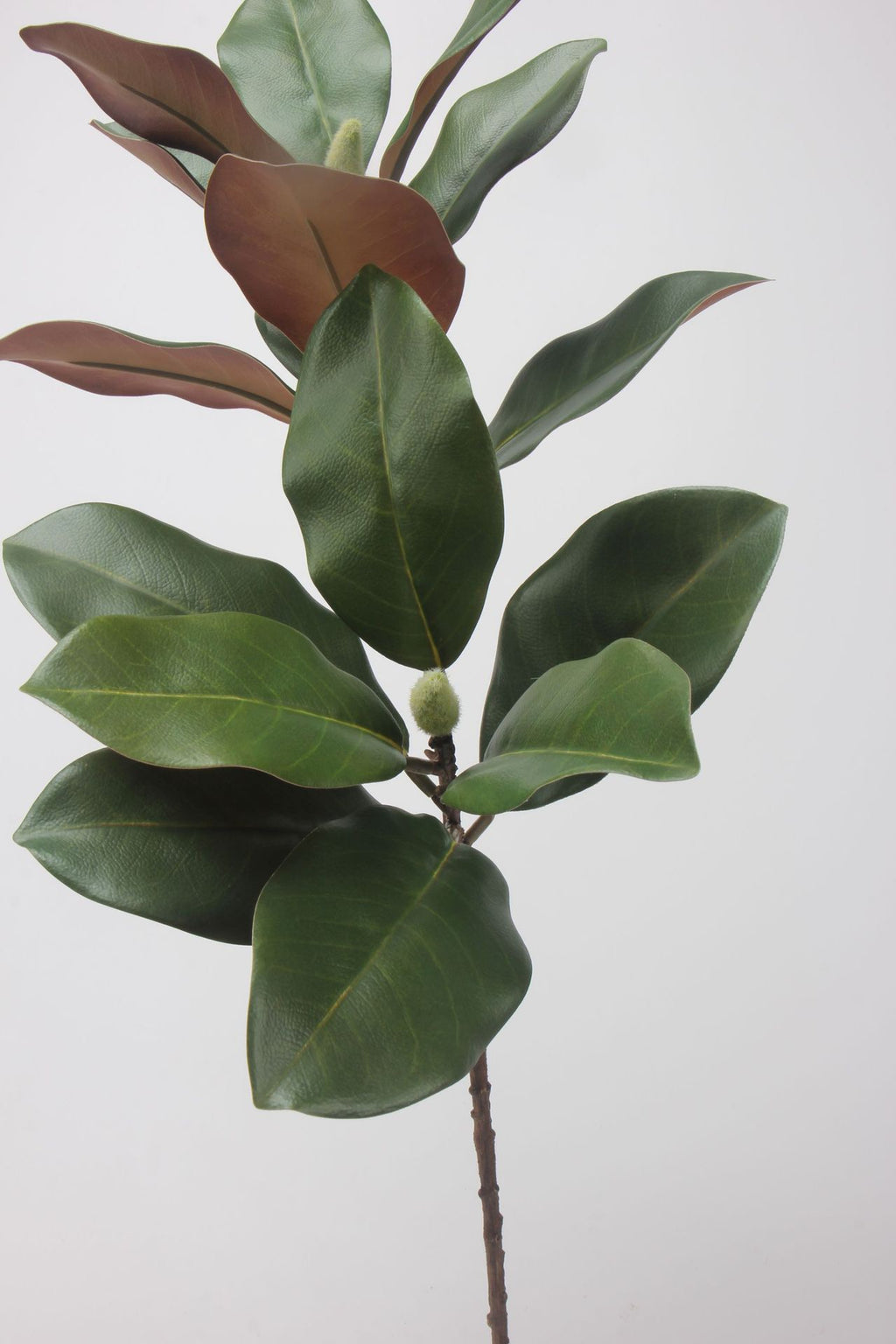 フェイクマグノリアの葉の茎 - 73cm