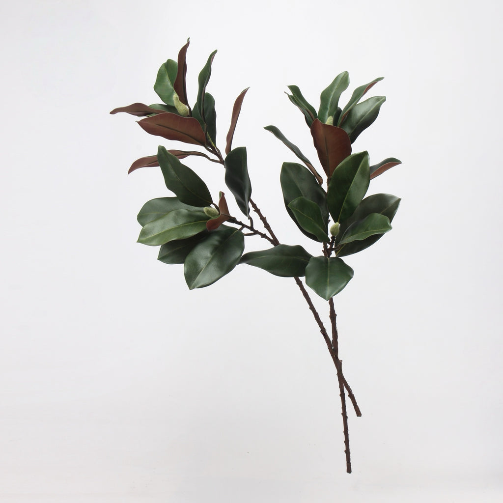 フェイクマグノリアの葉の茎 - 73cm