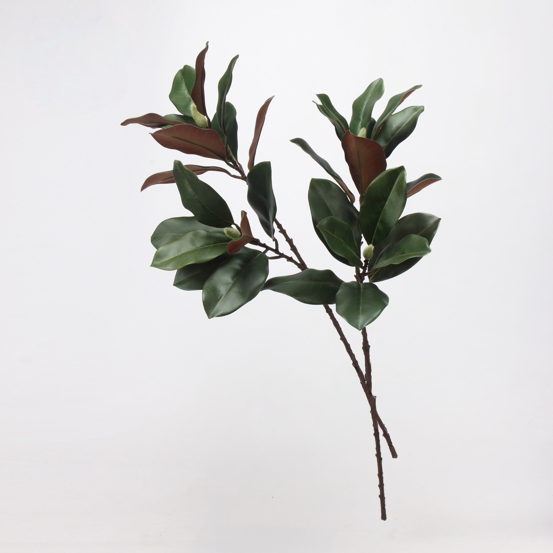 フェイクマグノリアの葉の茎 - 73cm